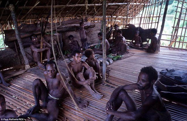Những ngôi nhà của bộ tộc Korowai khá chắc chắn và có thể chứa tới hơn 10 người.