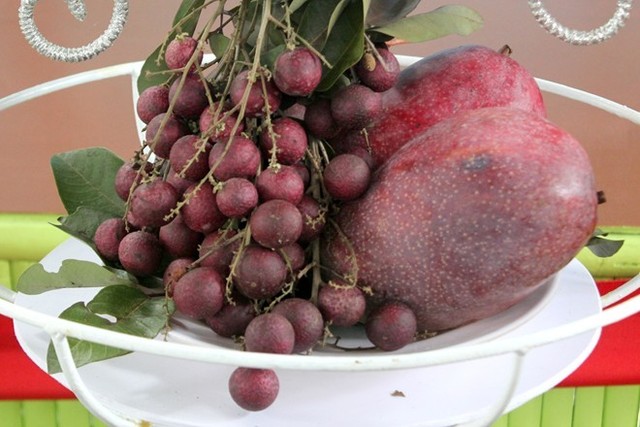 Nhãn, xoài tím trưng bày tại Lễ hội trái cây Nam Bộ 2015. Ảnh: Zen Nguyễn.