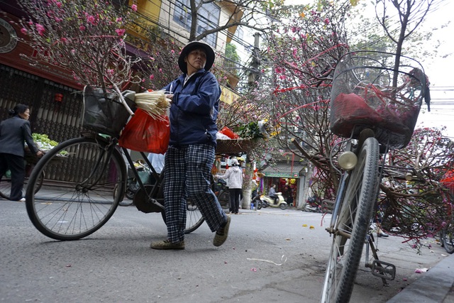 Những người bán hoa đào dạo trong khu phố cổ Hà Nội.