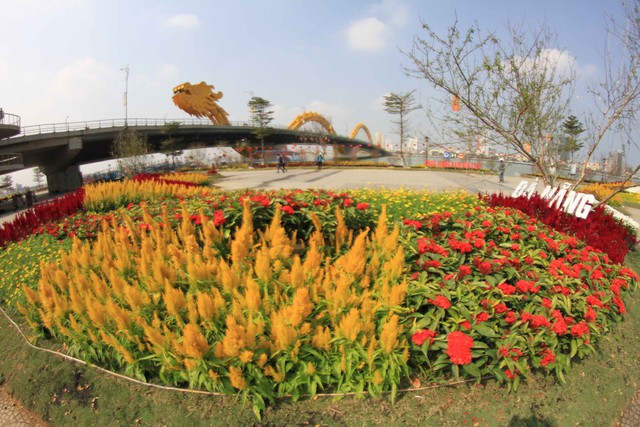Theo thông tin từ Tổ chức kỷ lục Việt Nam, “Bản đồ Việt Nam bằng hoa lớn nhất” là 01 trong 06 kỷ lục được thực hiện trên toàn quốc nhằm chào đón năm mới Ất Mùi.
