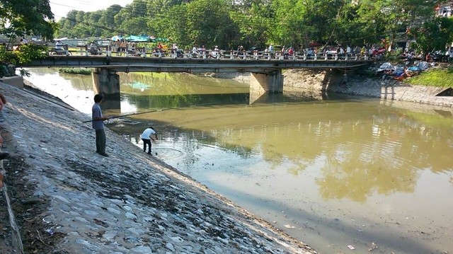 Trước hiện tượng hàng trăm con cá chép &quot;khủng&quot; xuất hiện trên sông Tô Lịch, nhiều người đã mang cần ra câu