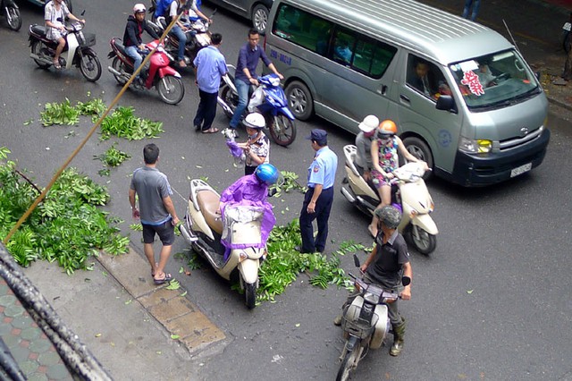 cành cây; xe máy; Bà Triệu