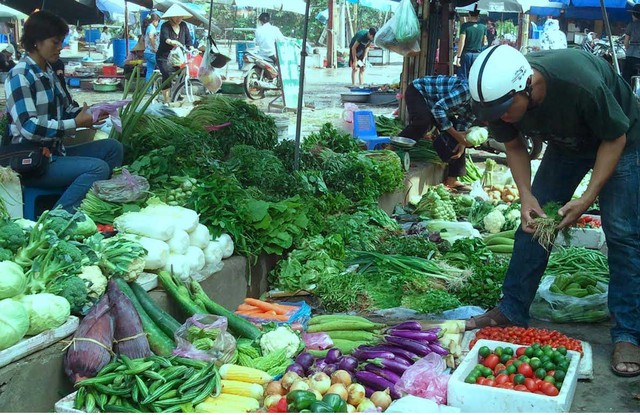 Quảng Ninh, Hà Nội, tiểu thương, gom rau, bán, ngập lụt, cháy hàng, khan hiếm rau xanh Quảng-Ninh, Hà-Nội, tiểu-thương, gom-rau, bán, ngập-lụt, cháy-hàng, khan-hiếm-rau-xanh