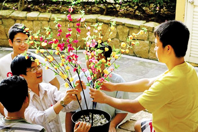 Du học sinh Việt Nam với cành đào, mai tự làm để hưởng trọn không khí Tết quê nhà. ảnh: TL