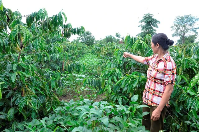 Hiện trường nơi phát hiện chị Tâm quằn quại khi uống thuốc tự tử. Ảnh: Khải Hoàng.