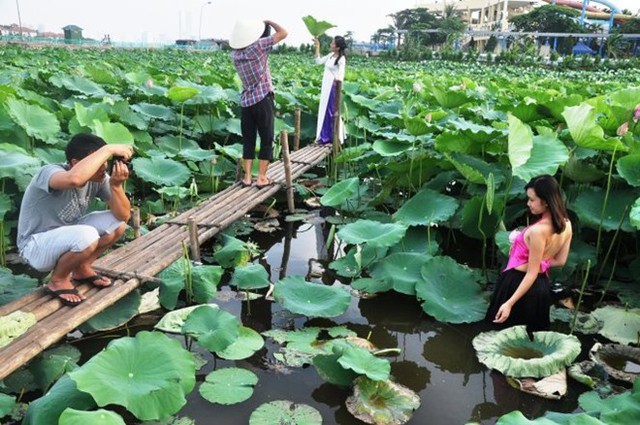 Các bạn trẻ tạo dáng tại đầm sen.