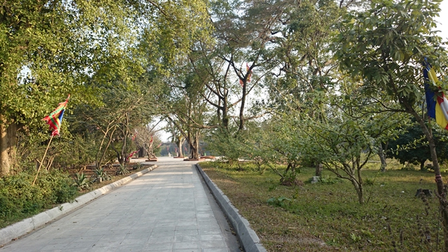 Đường vào ngôi chùa đã mang đậm dấu ấn thiên nhiên với cây xanh bao phủ. Đặc biệt, cận lối vào là hai hàng cây đào tiên đang thì non tơ nên quả còn rất nhỏ (ảnh chụp đầu năm 2015)