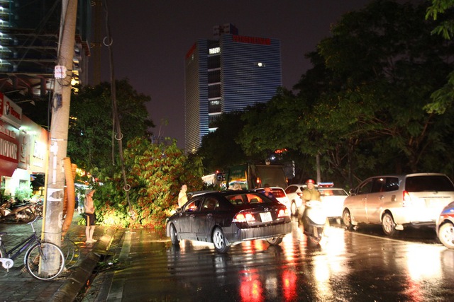 Gần ngã tư Thái Hà - Láng Hạ (đối diện rạp chiếu phim Quốc gia), nhiều cây xanh, cột điện bị đổ khiến giao thông bị ách tắc