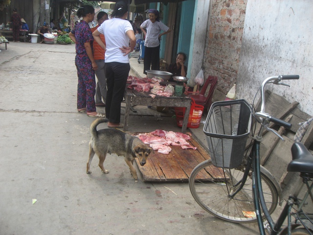 Nguy hiểm rình rập con người