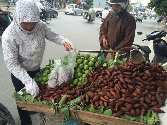 Mây Thái, quả lạ, màu nâu đỏ, nhiều gai, loạn giá, Hà Nội, hét giá, Thái Lan, dân bán hoa quả dạo, mây-Thái, quả-lạ, màu-nâu-đỏ, nhiều-gai, loạn-giá, Hà-Nội, hét-giá, Thái-Lan, dân-bán-hoa-quả-dạo