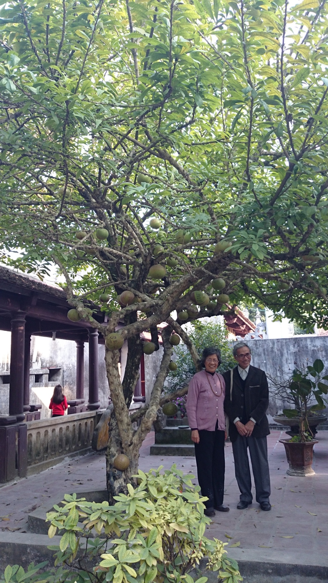 Trong khi đó, cây đào tiên bên trong ngôi chùa đã cứng cáp và sai quả. Khách đến chiêm bái, dâng hương ngôi chùa rất thích chụp ảnh nơi gốc đào. Họ không khỏi trầm trồ trước sự đặc biệt của quả đào và vẻ đẹp của thân cây. Giới trẻ còn tỉ mẫn khắc tên mình và bạn trai, bạn gái lên từng trái đào ở thấp dưới tầm tay với.