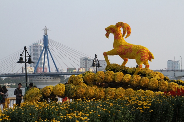 Hình ảnh Dê vàng hướng ra sông Hàn khiến ai đi qua cũng muốn dừng lại chụp ảnh làm lưu niệm cho mùa xuân này.