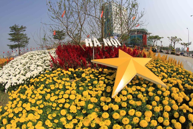“Bản đồ Việt Nam bằng hoa lớn nhất” được thực hiện trên diện tích 378,1 m2 với gần 10.000 giỏ cây các loại gồm: mào gà đỏ, mào gà vàng, hoa trang, hoa cúc trắng, hoa cúc vàng, cúc đại đóa, xác pháo, vạn thọ, sao nhái, mai địa thảo và hoa đào.