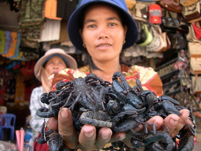 7.	Chợ côn trùng miền Tây Chợ biên giới Tịnh Biên - An Giang được biết đến là một chợ côn trùng. Hàng hóa nơi đây phổ biến là các loại “hàng độc”, cực độc như mối chúa, rết, bò cạp, tắc kè, nhện hùm,… Bò cạp giá 4.000-5.000 đồng/con, bửa củi sống 1.500-2.000 đồng/con, rết và nhện hùm khoảng 30.000-40.000 đồng/con. Loài nhện hùm cũng được bán với giá 30.000 -35.000 đồng/con tùy lớn nhỏ. Ảnh: Ngọc Trinh. 