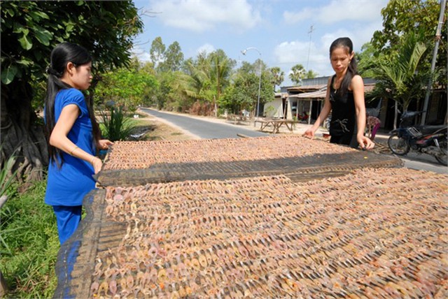 Sau đó đến lượt bà con vùng Bảy Núi làm theo. Nhờ khéo tay lại chế biến tinh tế nên không bao lâu khô nhái miệt này trở thành món ngon nổi tiếng ở miền Tây.... Đọc thêm tại: http://nongnghiep.vn/vu-nu-chan-dai-hot-bac-trong-mua-tet-post138460.html | NongNghiep.vn