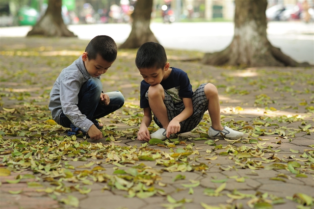 Tại phố Trần Phú