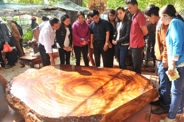 Tấm gỗ nu hương có giá 30 triệu đồng .