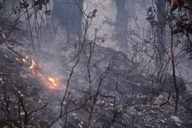 Đám cháy được phát hiện đầu tiên tại xã Thanh Khai huyện Thanh Chương