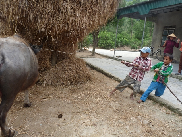 Cuộc sống lam lũ của trẻ em ở xóm”siêu đẻ”.  	Ảnh: H.H