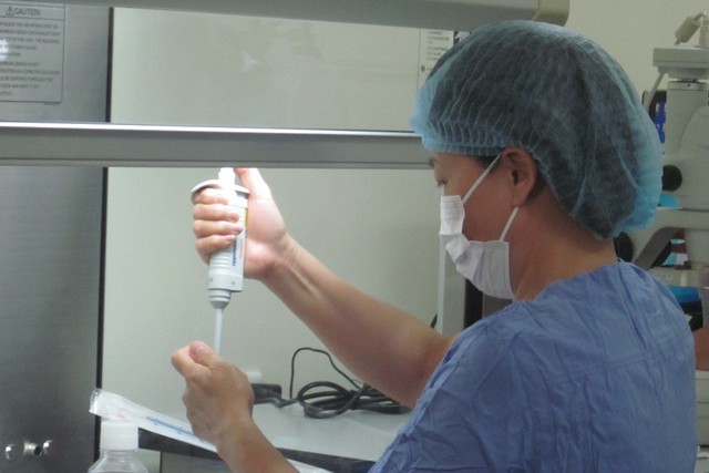 Công trình điều trị tổn thương bề mặt nhãn cầu bằng cách nuôi tạo tấm biểu mô từ  nguồn tế bào gốc khác nhau đã được các nhà khoa học Việt Nam thực hiện thành công  (ảnh do Bộ môn Mô- Phôi, Trường ĐH Y Hà Nội cung cấp).