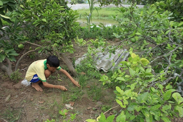 Ngoài giờ lên lớp Duy giúp đỡ bà nhiều việc.