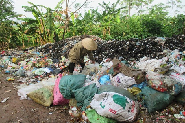 Chị Hòa vẫn ngày ngày cặm cụi nhặt phế liệu trên những bãi rác để mưu sinh. 	Ảnh: N.Mai