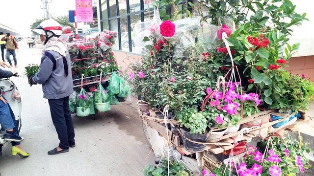 Chị Hoa đang bán hoa dạo trên đường Nguyễn Xiển.	Ảnh: H.N