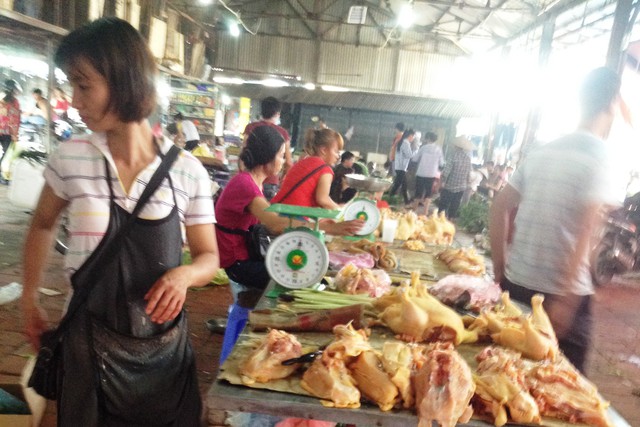 Gà nội địa đang bị “chèn ép” ngay tại sân nhà. 	Ảnh: Đ.A