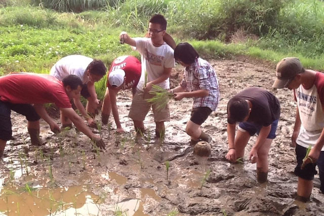 Những học sinh trải nghiệm thực tế làm nông dân tại Trang trại Đồng Quê, Ba Vì (ảnh do Trang trại Đồng Quê cung cấp).