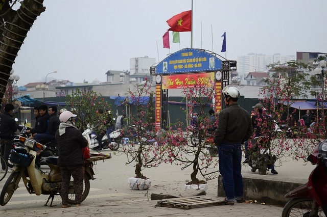 Chợ hoa xuân Vạn Phúc, Hà Đông