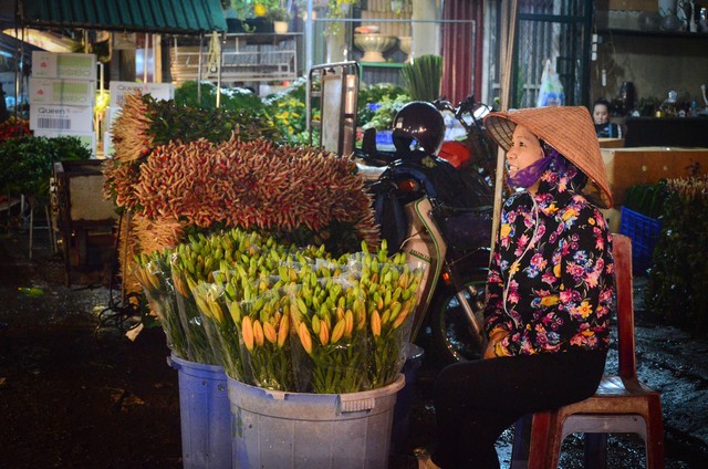 
Những người phụ nữ chuyên buôn bán ở chợ hoa Quảng An cũng co mình vì không khí lạnh tràn về. Chị Thương (40 tuổi) tâm sự: “Ngồi bán hoa mà lạnh hết chân tay, biết tối nay lạnh nhưng thời tiết thay đổi cũng mệt mỏi và nhức đầu lắm”.
