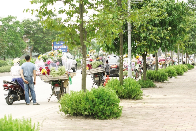 Đội ngũ bán hoa dạo đứng thành một hàng dài trên đường Tố Hữu.
