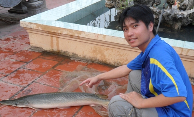 
Trước đó, người dân thôn Tân Văn 3, xã Tân Dĩnh, huyện Lạng Giang (Bắc Giang) cũng bắt được con cá giống gia đình ông Thái vừa bắt được.
