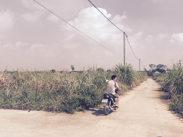 Khu đất dành cho tái định cư nhưng nhiều năm qua vẫn chỉ là những bãi đất hoang, cỏ mọc um tùm. Ảnh: H.Châu.