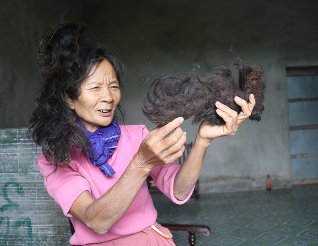Hơn 20 năm qua, mái tóc bà Đỗ Thị Năm đã tự kết tạo hình nhiều con vật. Ảnh: T.G