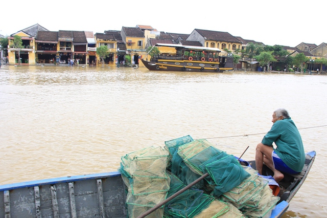 Theo một lão ngư làm nghề chài lưới trên sông Hoài, sông Đế Võng, mỗi mùa nước lũ về mang theo nhiều tôm cá, đặc biệt là cá lệch