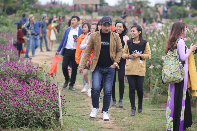 
Những ngày này, tại vườn hoa Nhật Tân hay vườn hoa bãi đá sông Hồng (Tây Hồ, Hà Nội) thu hút một lượng lớn du khách tới chụp ảnh với cúc họa mi.
