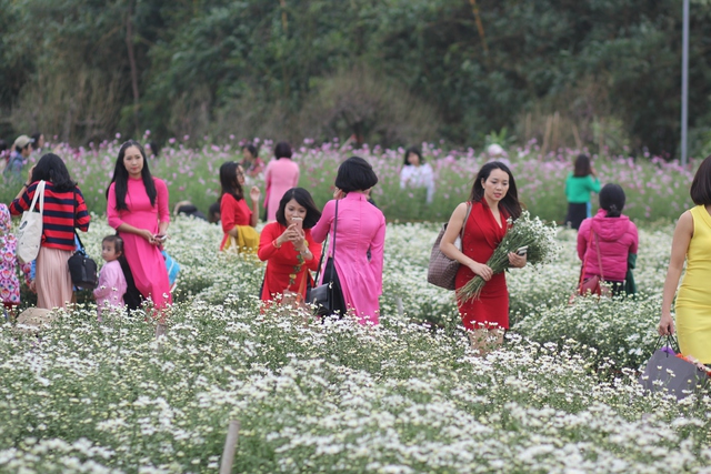 
Khung cảnh nhộn nhịp tại các vườn hoa ở Nhật Tân. Nhiều người muốn chụp phải đợi tới lượt.

