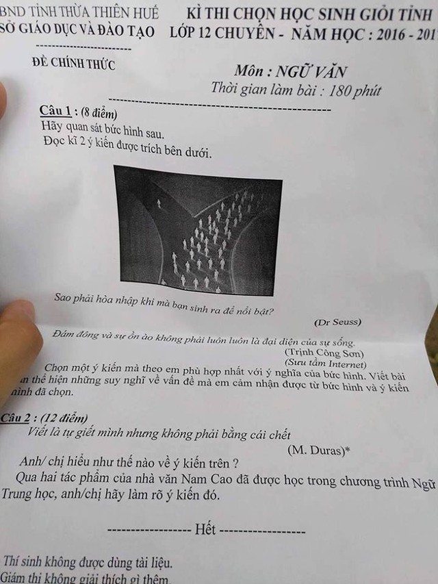 
Đề thi học sinh giỏi môn Ngữ văn của tỉnh Thừa Thiên Huế được đăng tải trên một diễn đàn
