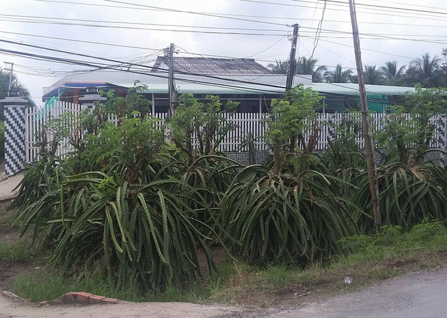 
Căn nh&agrave; nơi xảy ra vụ việc đau l&ograve;ng
