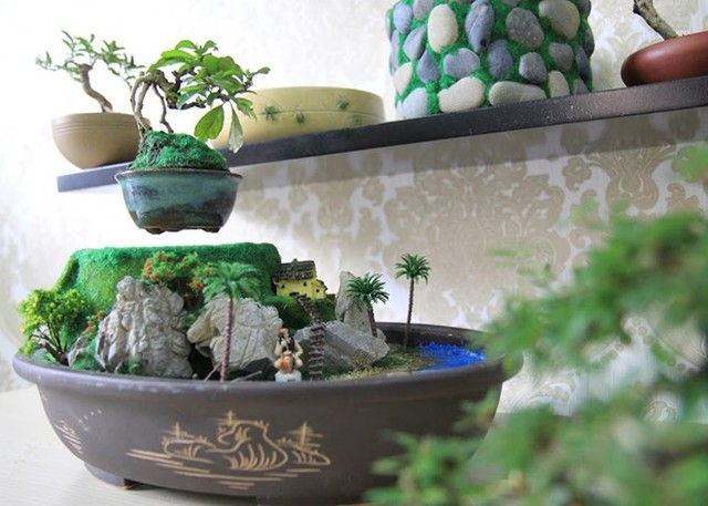 Ngoài những mẫu bonsai bay có sẵn, khách có thể đặt hàng theo yêu cầu. Ảnh: Happy Trees.