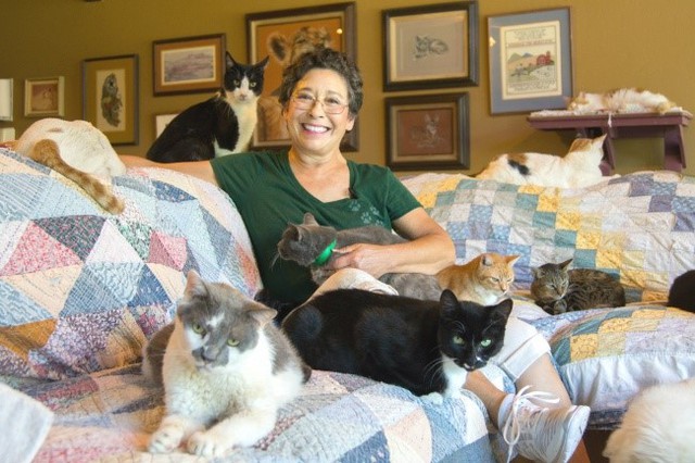 
Từ năm 1992, bà Lynea Lattamzi bắt đầu nhận nuôi những chú mèo không chủ. Bà tự nguyện chăm sóc chúng mà không cần sự giúp đỡ về tài chính. Hiện nay, bà Lynea sống cùng hơn 1.100 chú mèo. Người bạn nhỏ nào cũng khỏe mạnh, được ăn no và yêu thương.
