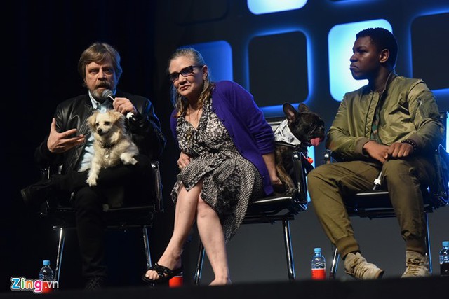 
Carrie Fisher b&ecirc;n cạnh Mark Hamill v&agrave; John Boyega tại sự kiện Star Wars Celebration 2016 tại London, Anh hồi m&ugrave;a h&egrave;. Họ đến để chia sẻ về Star Wars VIII, bộ phim dự kiến ra mắt cuối năm 2017. Ảnh: Tiến Tuấn.
