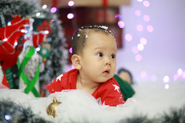 
Mới được hơn 7 tháng tuổi nhưng nhóc con Sasuke đã được mẹ cho đi chụp ảnh Noel.
