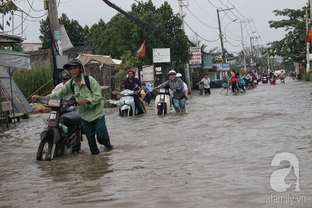 
Hàng loạt xe chết máy.
