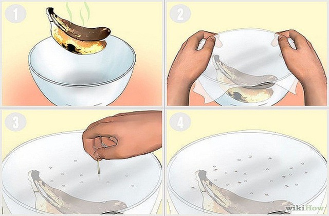 (Ảnh: Wikihow)