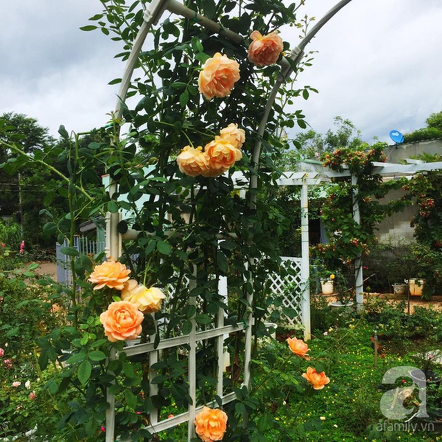 Và đi sâu vào bên trong thì ai cũng phải thốt lên ngạc nhiên.