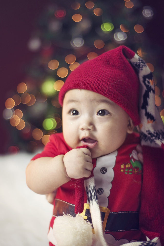 
Trong bộ đồ ông già Noel, cậu nhóc vô cùng dễ thương.
