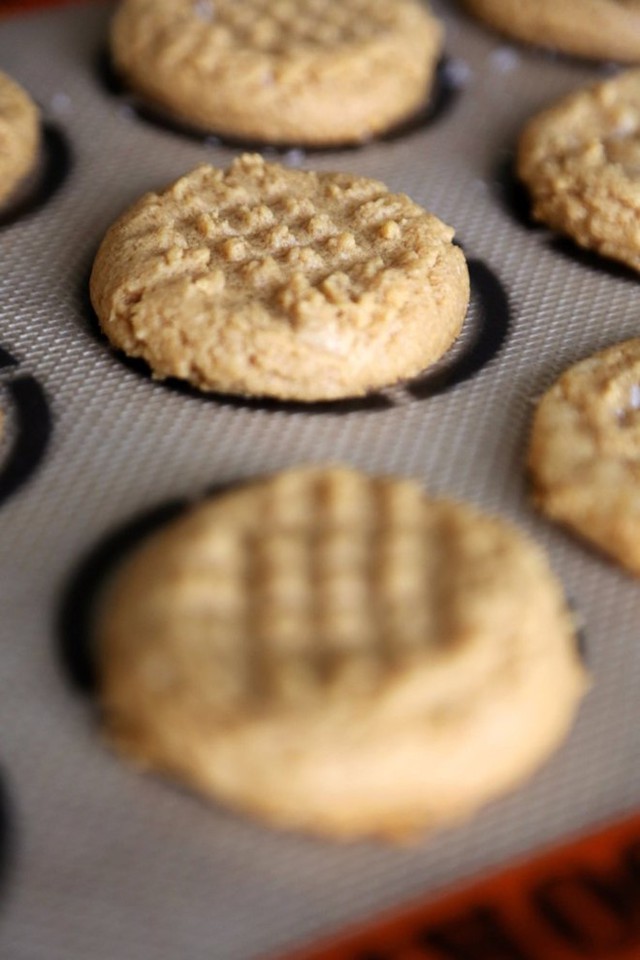 Làm bánh quy bơ lạc: Món này chỉ cần 4 nguyên liệu cơ bản: bơ lạc, đường, trứng, và vani.