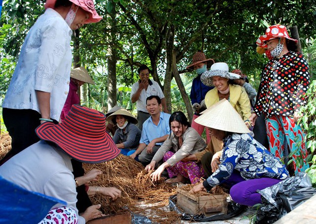 
Không chỉ sản xuất ở hợp tác xã, các cấp Hội nông dân Quảng Ngãi còn mời anh về các địa phương hướng dẫn kỹ thuật trồng nấm linh chi, nấm bào ngư, nấm rơm cho nông dân. Trong 5 năm qua, anh đã cầm tay chỉ việc cho hàng trăm lượt nông dân trồng nấm, cải thiện thu nhập trên địa bàn tỉnh.
